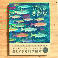 ☆特典5点付き [panpanya] 魚社会　[初回出荷品] Amazon.co.jp: 魚社会 (書籍扱い楽園コミックス) : panpanya