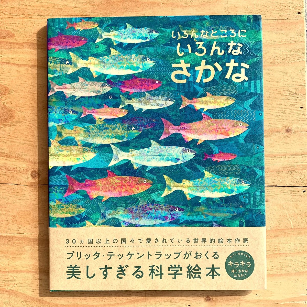 Whitepaper しろ　そらのさかな　同人誌　絵本 Whitepaper しろ そらのさかな 同人誌 絵本の通販 by ADA｜ラクマ