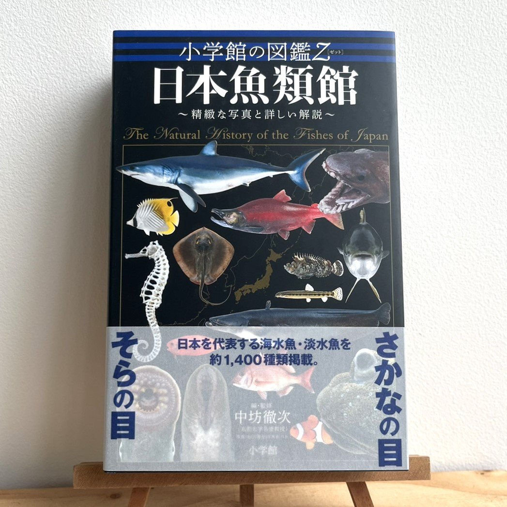 日本魚類館 精緻な写真と詳しい解説 （小学館の図鑑Z） | SAKANA