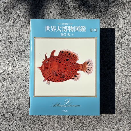 [紀州・熊野採集]日本魚類図譜 紀州・熊野採集]日本魚類図譜 紀州・熊野採集日本魚類図譜