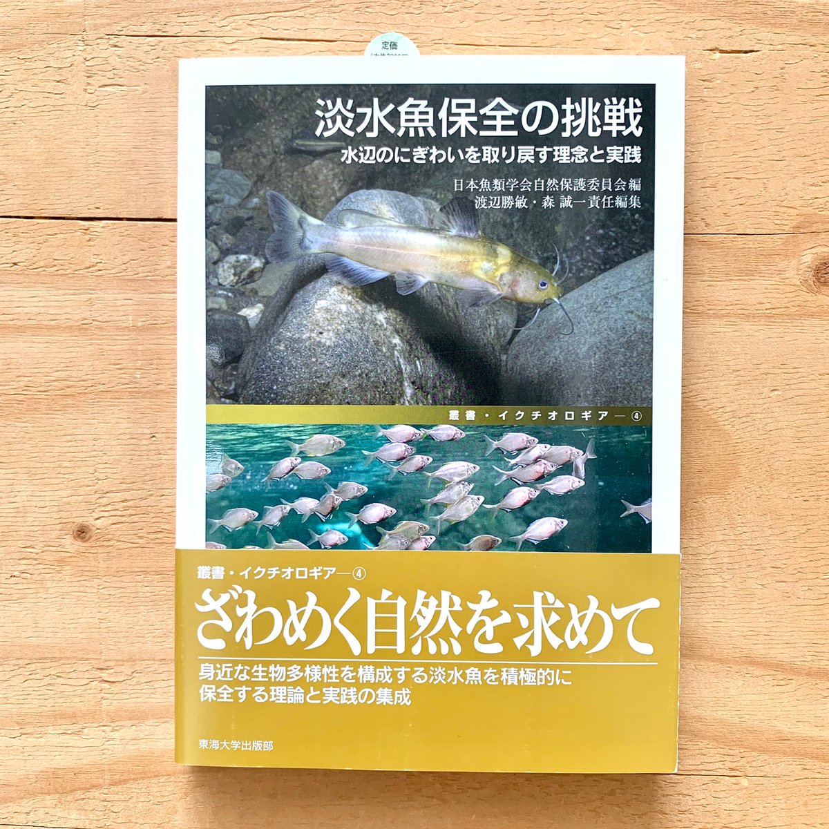絶版 希少新品 水平思考の世界 固定観念がはずれる創造的思考法 絶版 希少新品 水平思考の世界 固定観念がはずれる創造的思考法