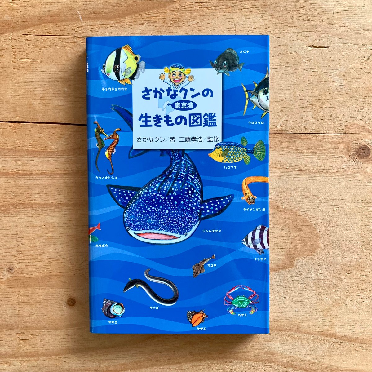 さかなクンの東京湾生きもの図鑑 | SAKANA BOOKS オンライン さかなクンの東京湾生きもの図鑑 | SAKANA BOOKS オンライン