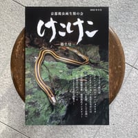 爬虫両棲類雑誌 けこけこ 第7号（京都爬虫両生類の会）