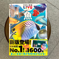 海棲哺乳類大全 彼らの体と生き方に迫る | SAKANA BOOKS オンライン