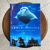 ナマズの博覧誌 | SAKANA BOOKS オンライン