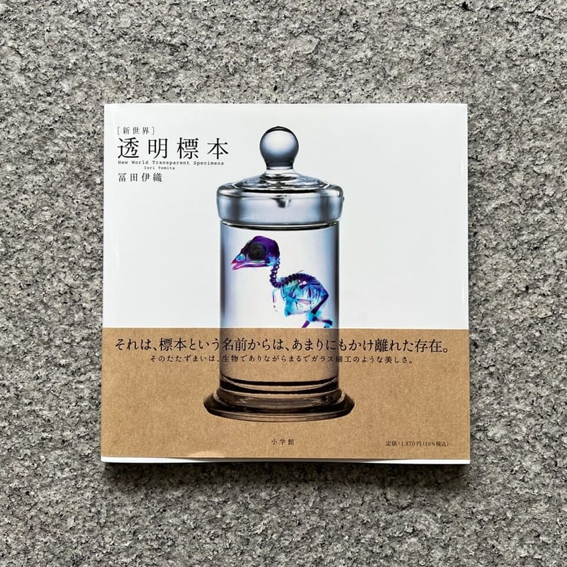 新世界透明標本 新世界『透明標本』スケルトンケース（カプセルなし） | 株式