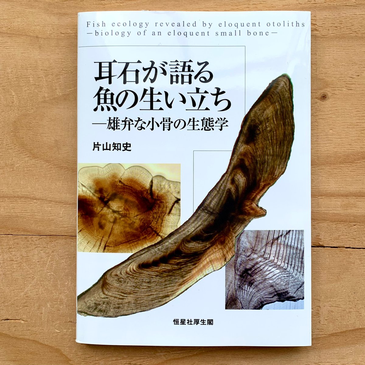 耳石が語る魚の生い立ち 雄弁な小骨の生態学 | SAKANA BOOKS オンライン
