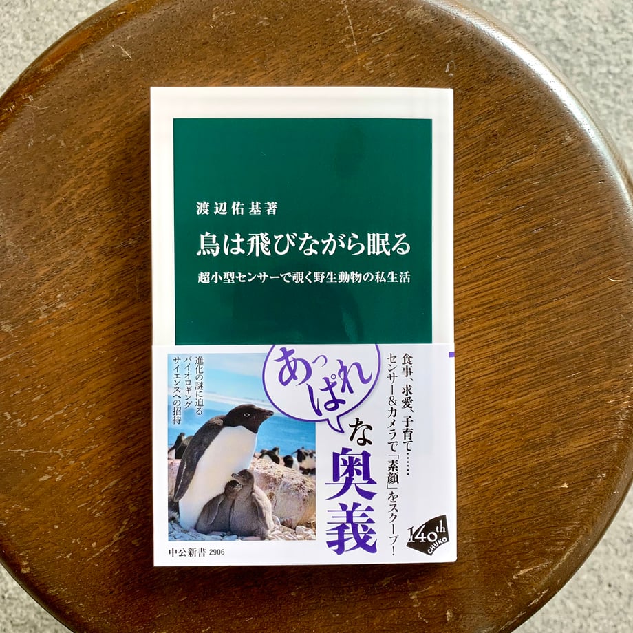 6a2e292762e8099dbcf08d34