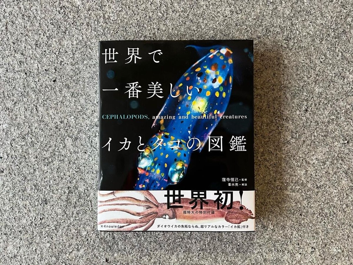 世界で一番美しいイカとタコの図鑑 | SAKANA BOOKS オンライン