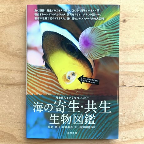 ▲01)【同梱不可】大型鰓脚類の生物学と養殖・保全に関する研究 まとめ売り3冊セット/大圏生物科学/Kluwer Academic Publishers/洋書/A 01)【同梱不可】大型鰓脚類の生物学と養殖・保全に関する研究