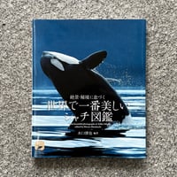 水族館人2 情熱と未来をめぐる15のストーリー（※刊行記念しおり付き