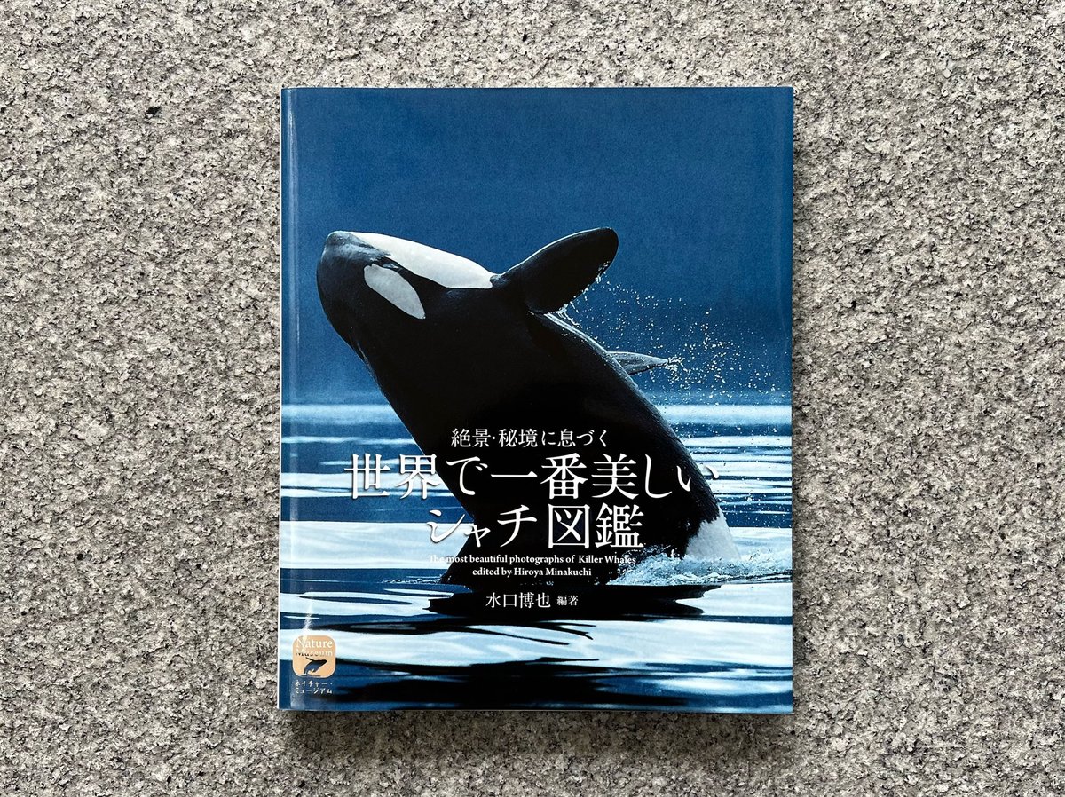 snow peak タクード　アイボリー　KH-002-IV Amazon.com: Snow Peak KH-002-IV Takudo Marfil : Deportes y