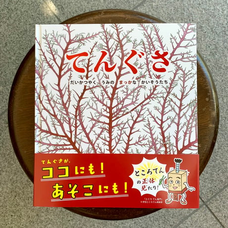 CATEGORY 絵本・児童書 | SAKANA BOOKS オンライン