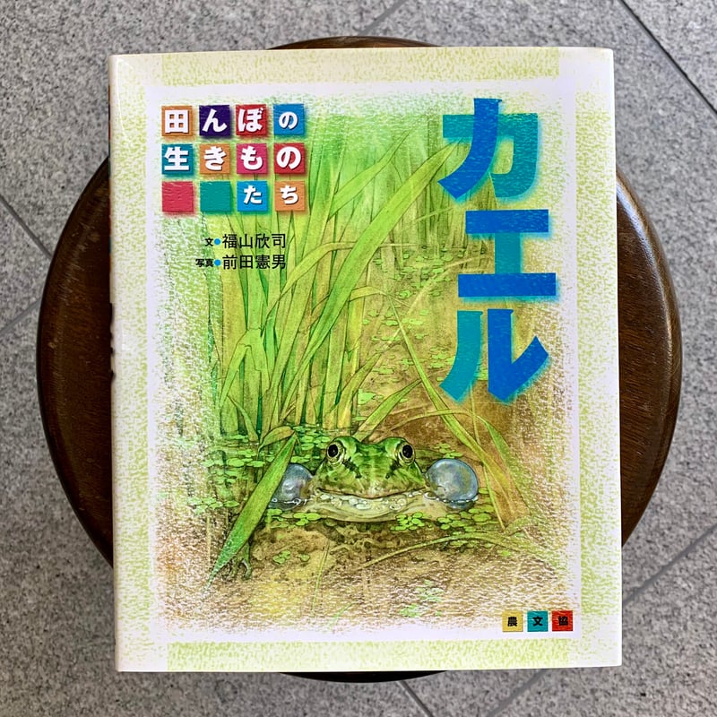 しぜん写真えほん カメ・ザリガニ・カエルなど水辺の生きもの　レア 田んぼの生きものたち カエル | SAKANA BOOKS オンライン