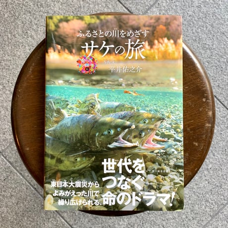 CATEGORY 絵本・児童書 | SAKANA BOOKS オンライン