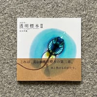 透明標本Ⅱ