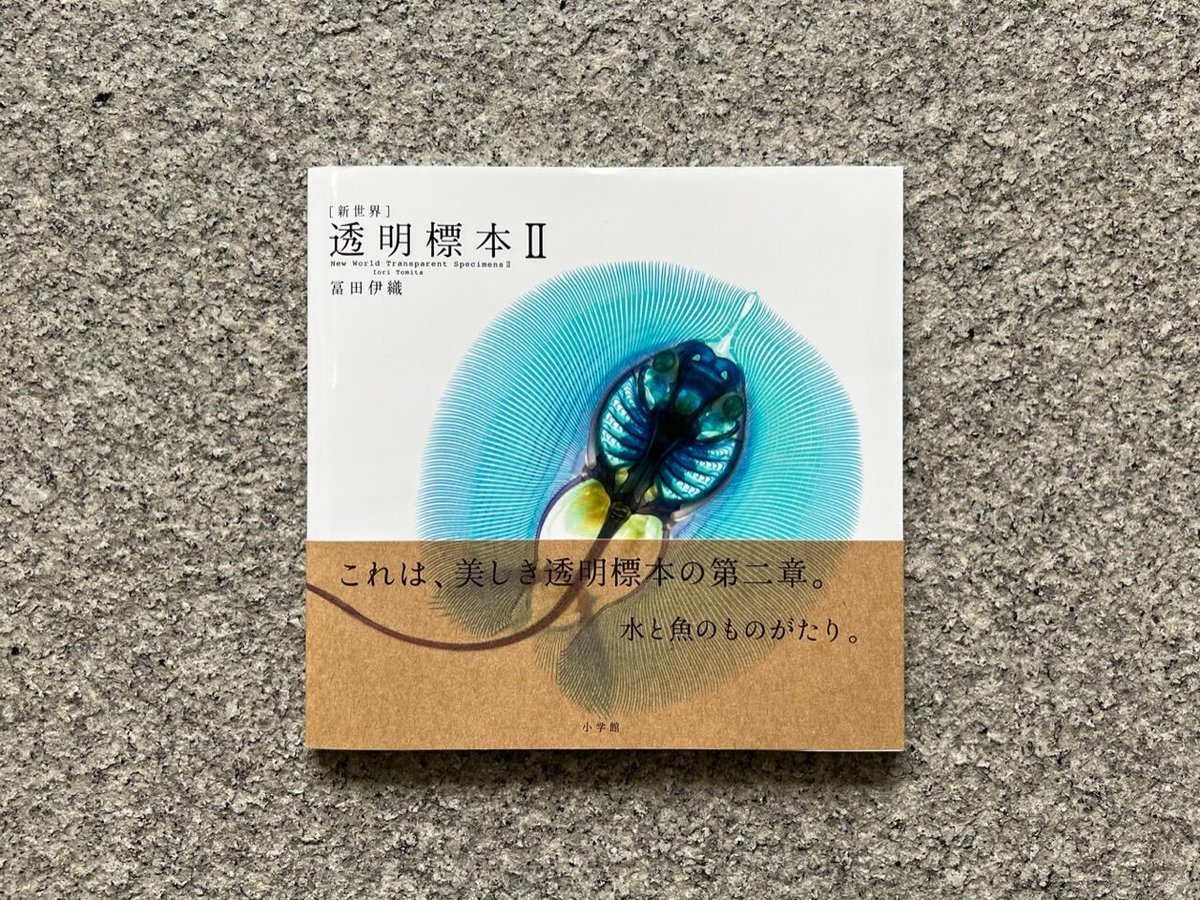 透明標本Ⅱ | SAKANA BOOKS オンライン