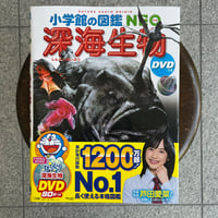 海棲哺乳類大全 彼らの体と生き方に迫る | SAKANA BOOKS オンライン