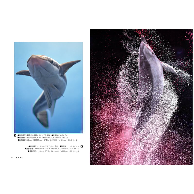 サカナト vol.1 | SAKANA BOOKS オンライン