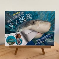 美しき捕食者サメ図鑑