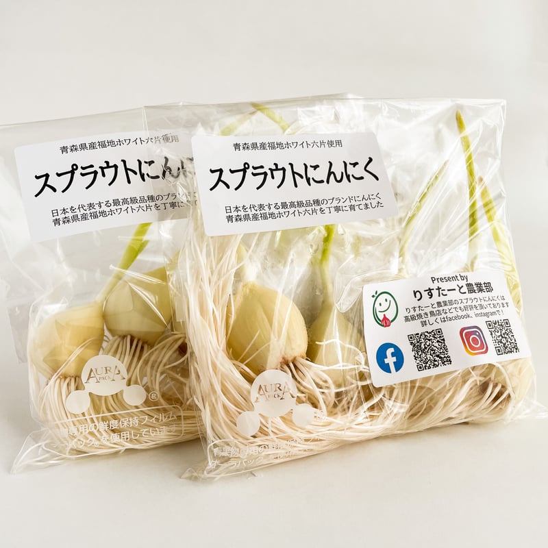 草田雲非　根付　15点セット 送料無料】ぱくぱくセット (スプラウトにんにく10個・みそ3種・醤油