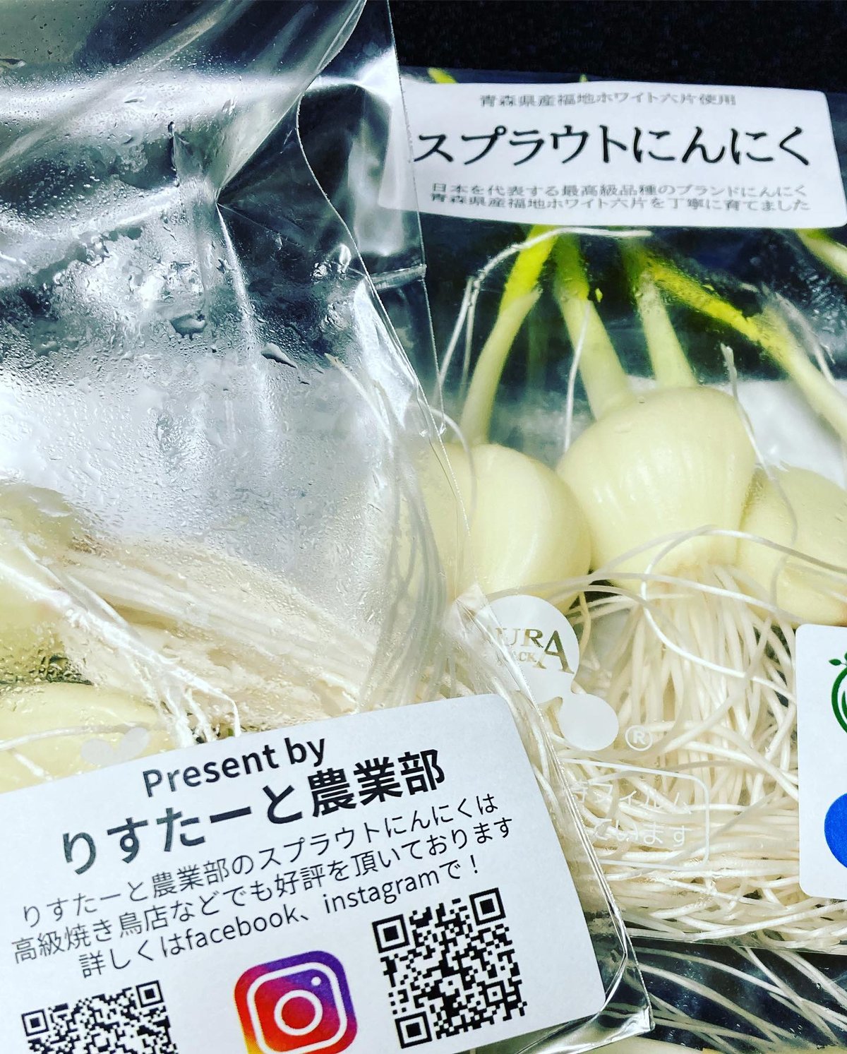 定期便】スプラウトニンニク(20個)1か月ごと | りすたーと農業部 定期便】スプラウトニンニク(20個)1か月ごと | りすたーと農業部