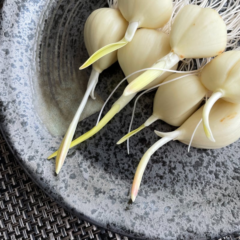 送料無料】ぱくぱくセット (スプラウトにんにく10個・みそ3種・醤油