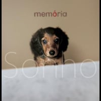 Sonho（ソニョ）『メモリア』（紙ジャケ）
