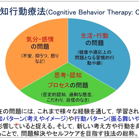 【選択必修A】認知行動療法の理解と実践