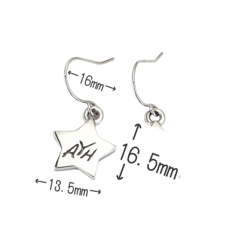 Star Earrings(シルバー)