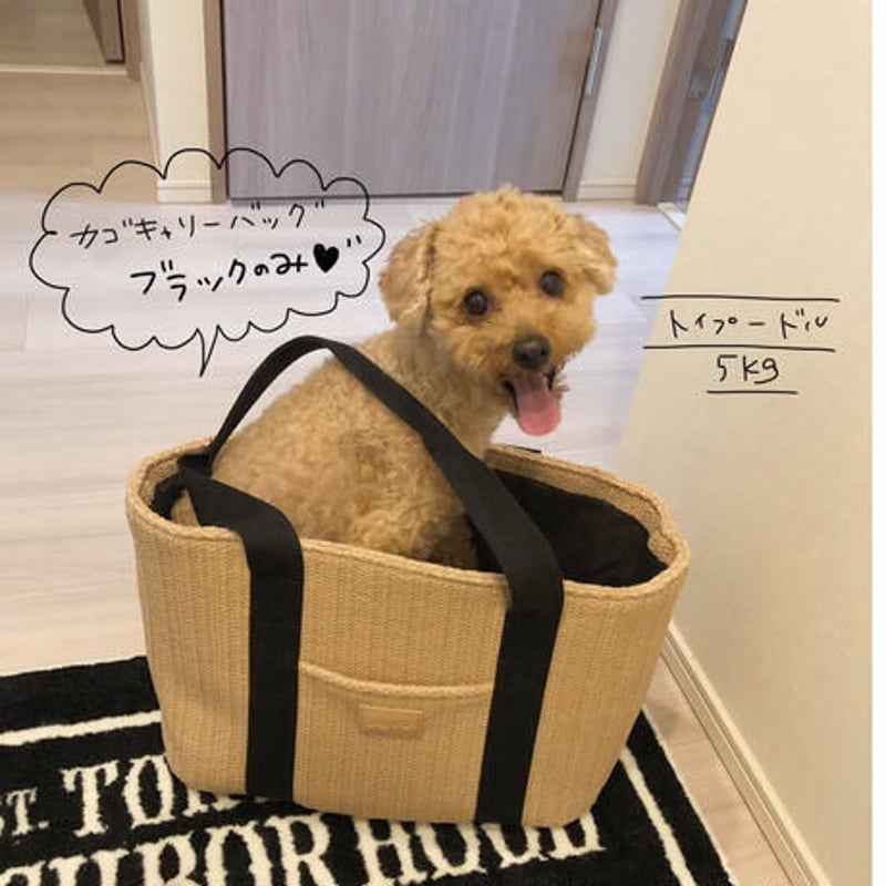 極希少✨ クーコ キャリーケース クロコ型押し  ブラウン トートバッグ 極希少✨ クーコ キャリーケース クロコ型押し ブラウン トート