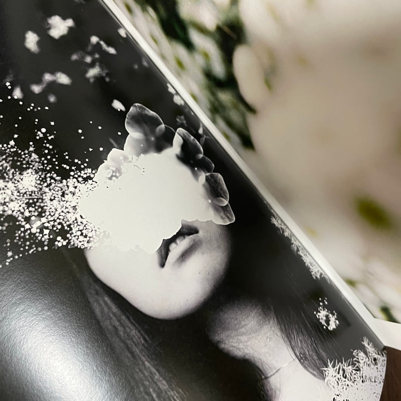 ね*り様 OROP OF DREAMS 洋書　写真集 Amazon.co.jp: 村田兼一写真集 Secret Dreams of Erotic