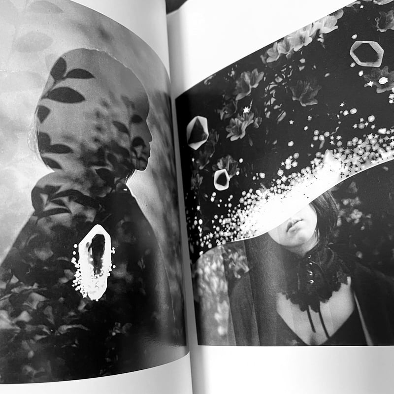 ね*り様 OROP OF DREAMS 洋書　写真集 Amazon.co.jp: 村田兼一写真集 Secret Dreams of Erotic