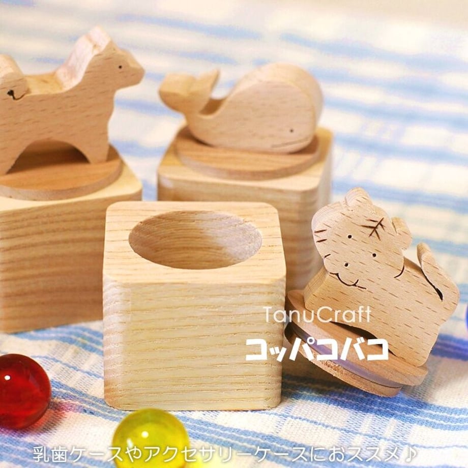 62e362c21d6b107737fb825b
