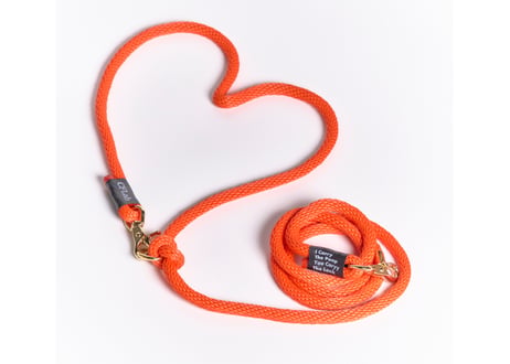 hands free braid leash