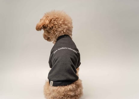犬用 服 Tシャツ【t-shirt〈b〉】