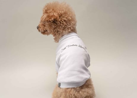 犬用 服 Tシャツ【t-shirt〈c〉】
