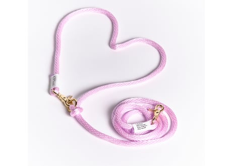 hands free braid leash