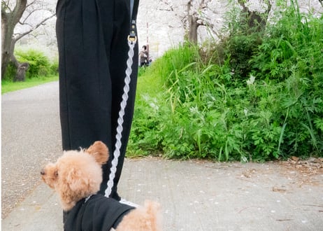 犬用 リード マクラメ【macramé leather leash 】
