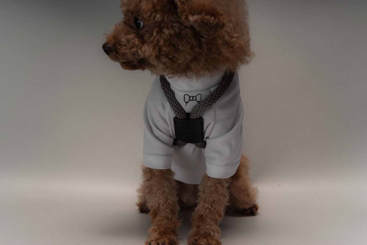 犬用 ロープハーネス【braid harness】 | CanisFamiliarisLabo 犬用 ロープハーネス【braid harness】 | CanisFamiliarisLabo