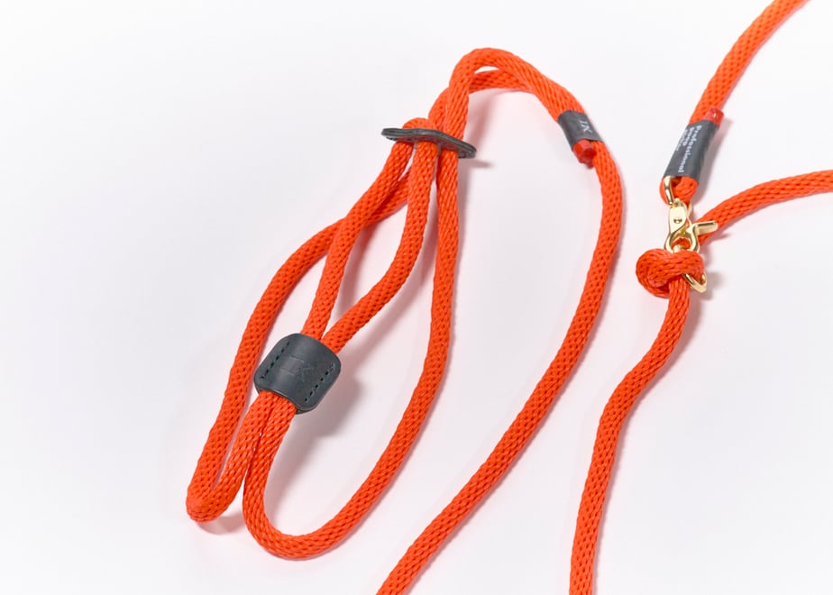 678936b22cd2e10ef890dc6b