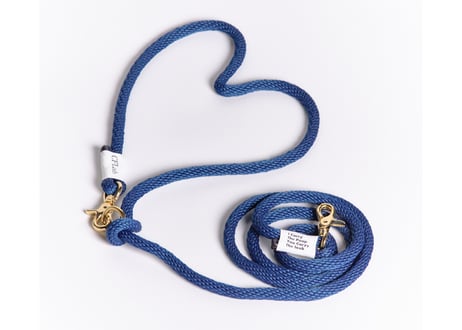 hands free braid leash