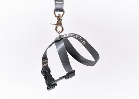 TASUKI harness【25mm】【M~Ｌ】