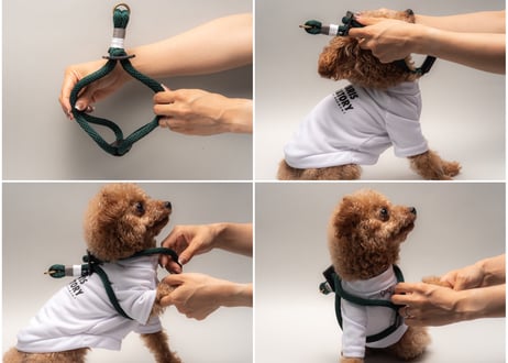 犬用 ロープハーネス【braid harness】