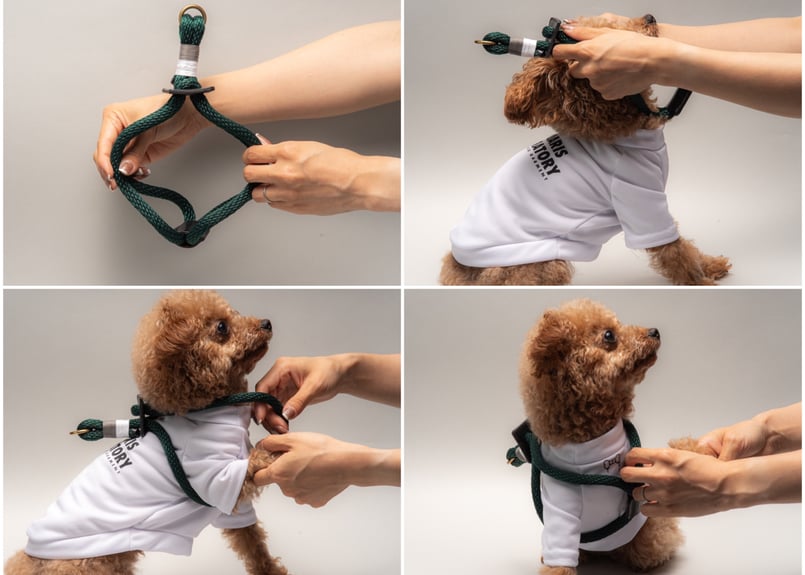 犬用 ロープハーネス【braid harness】 | CanisFamiliarisLabo