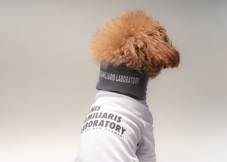 犬用 ネッククーラー【neck cooler】