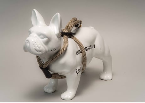 犬用 ロープハーネス【braid harness】