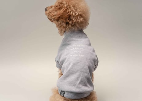 犬用 服 Tシャツ【t-shirt〈d〉】