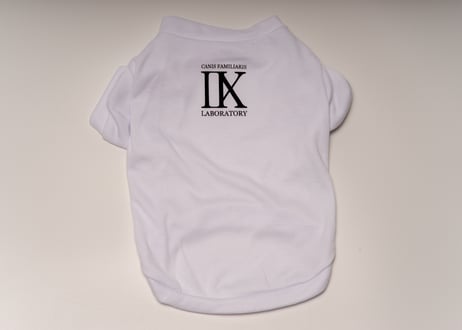 犬用 服 Tシャツ【t-shirt〈f〉】