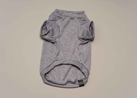 犬用 服 Tシャツ【t-shirt〈c〉】
